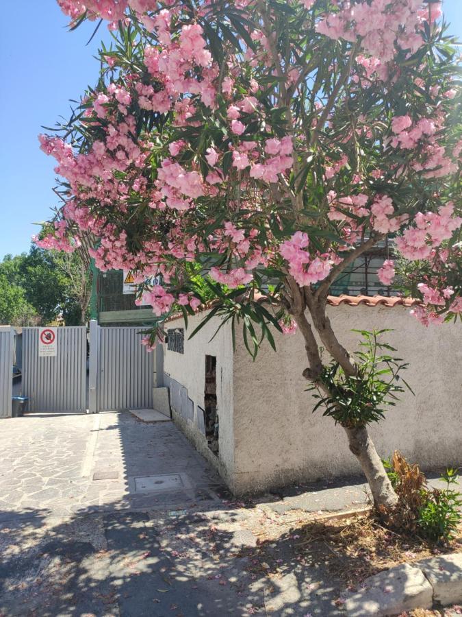 Casa Vacanze Фиумичино Екстериор снимка